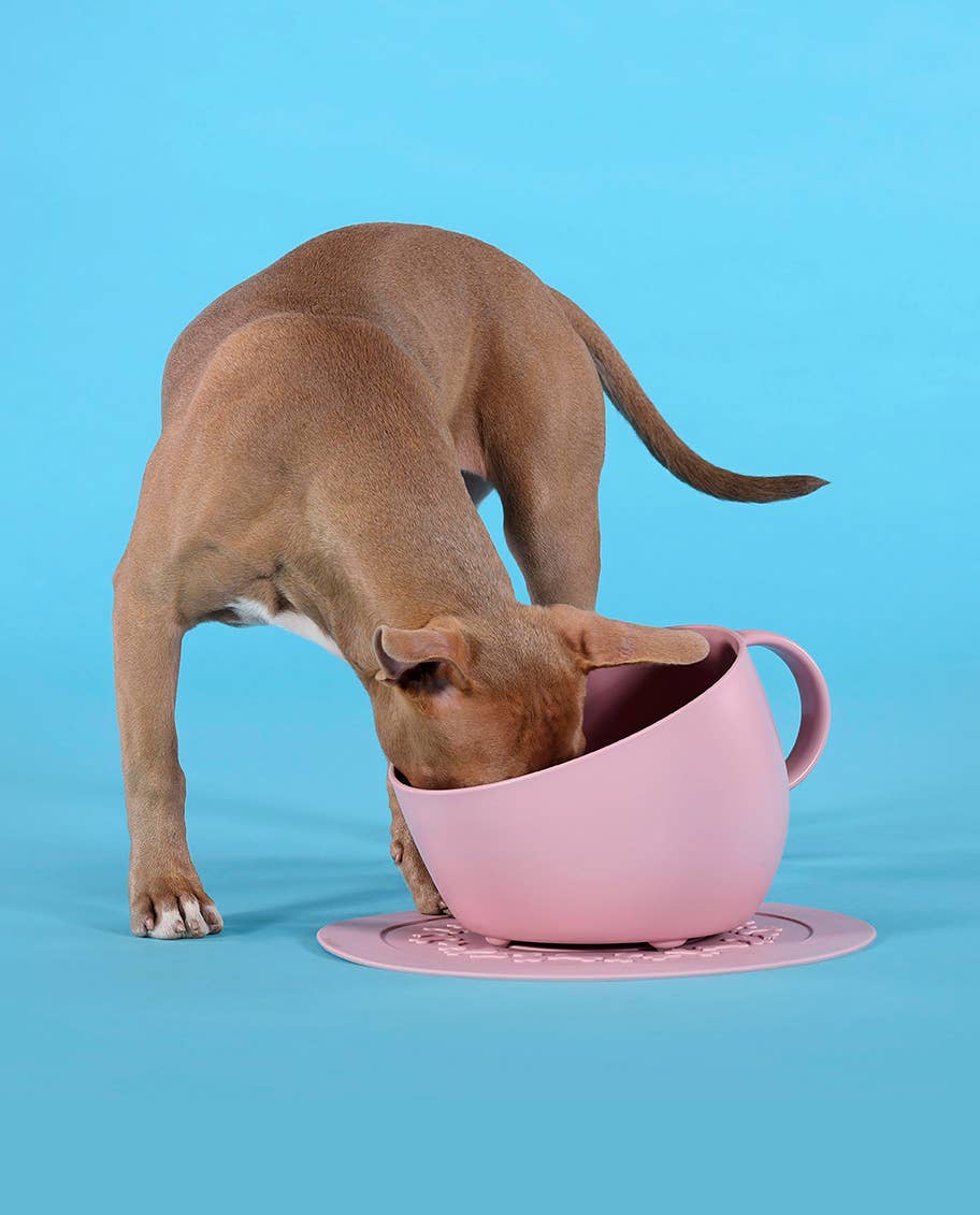 United Pets - Milieuvriendelijke hoge kom met anti-spatwater voor voedsel en water