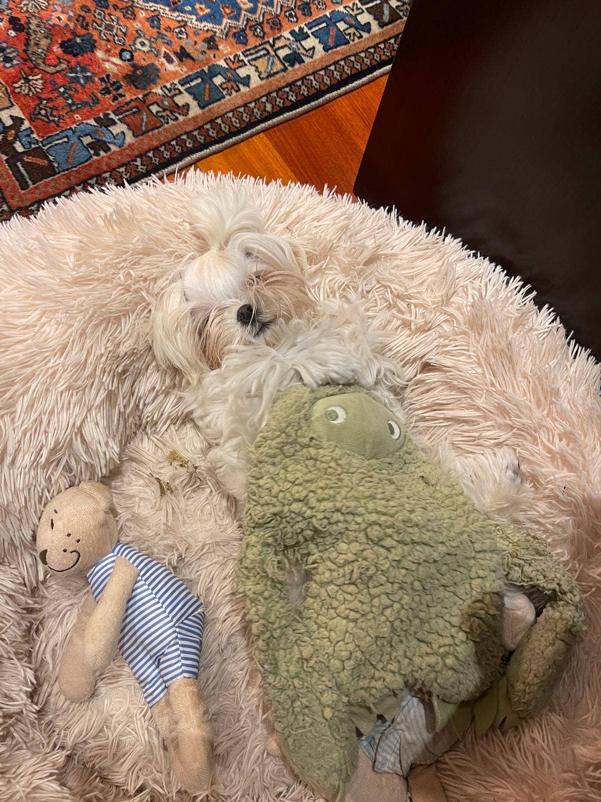 United Pets - Antistresskluche met etherische oliën - Musk