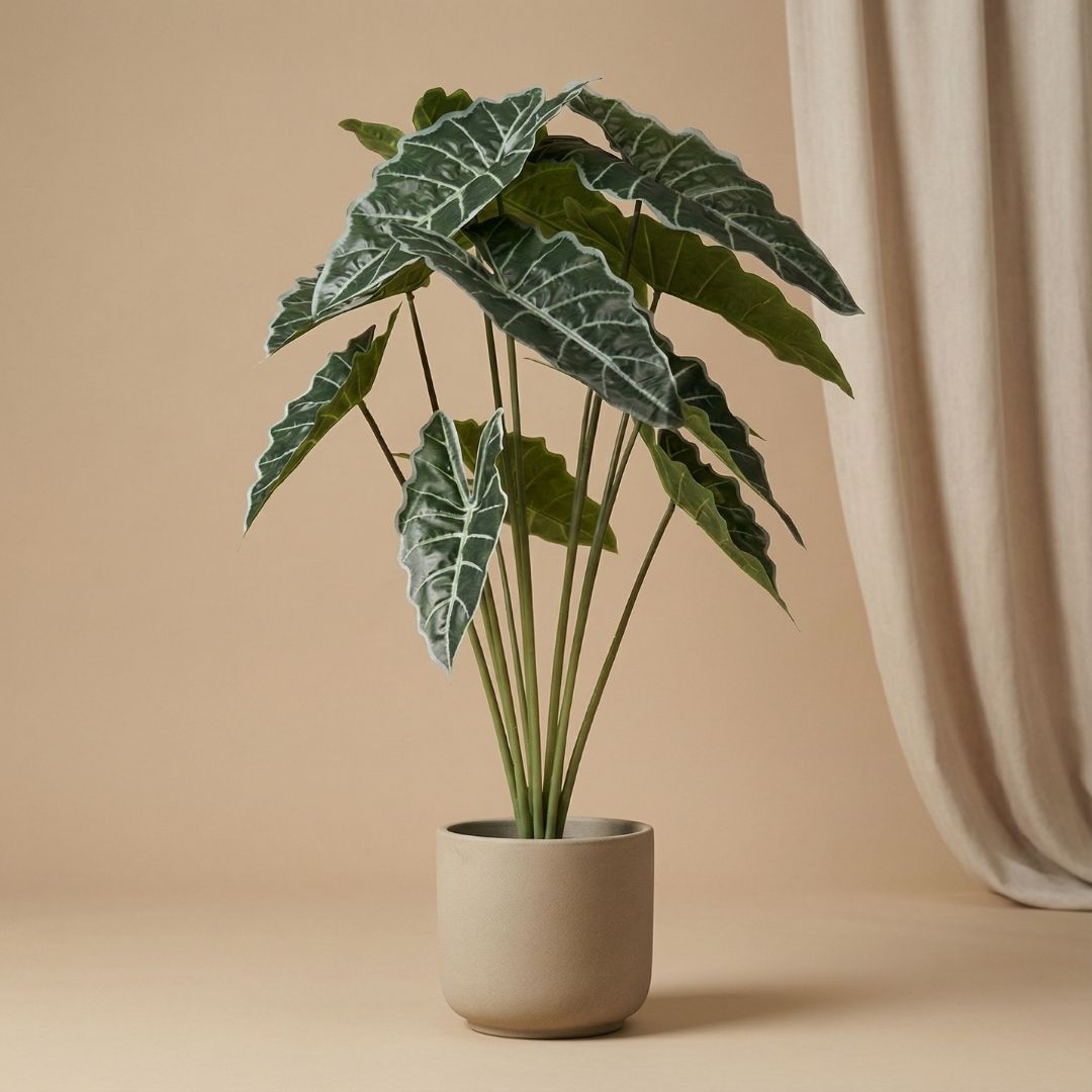 Alocasia 80 Cm - Artificial Plant