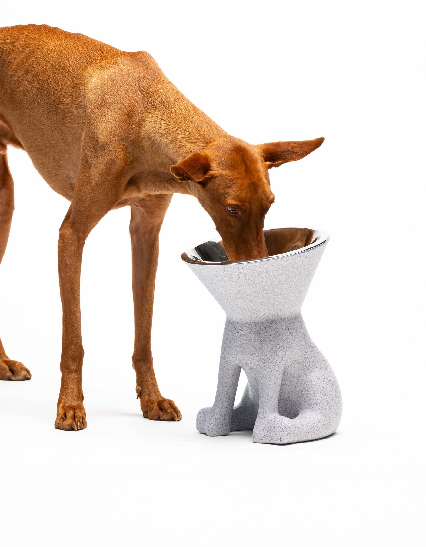 United Pets - Elizabeth Design Verhoogde Hondenvoerbak (1100 ml) - Voor de hondenliefhebber!