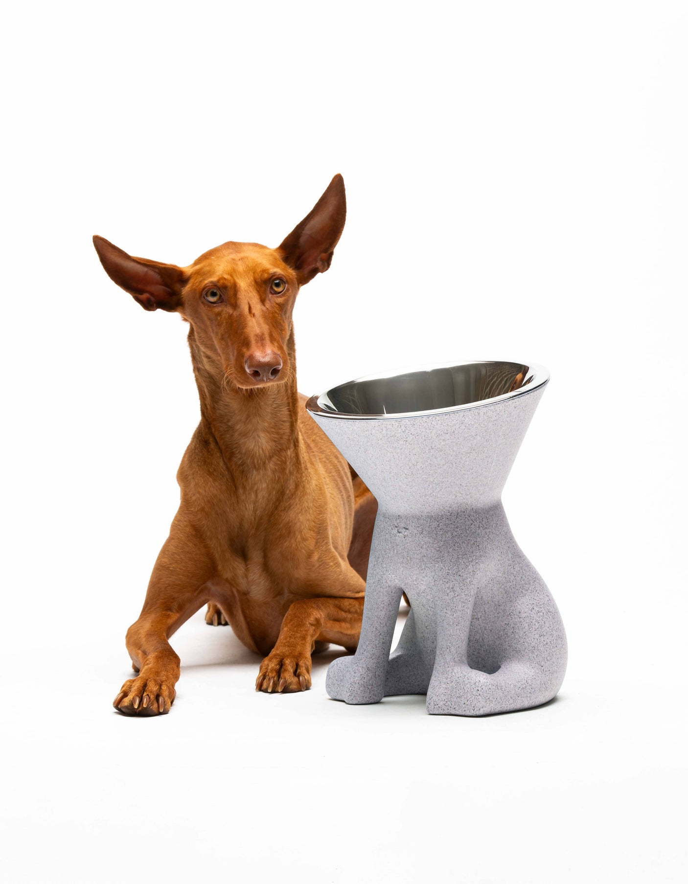United Pets - Elizabeth Design Verhoogde Hondenvoerbak (1100 ml) - Voor de hondenliefhebber!