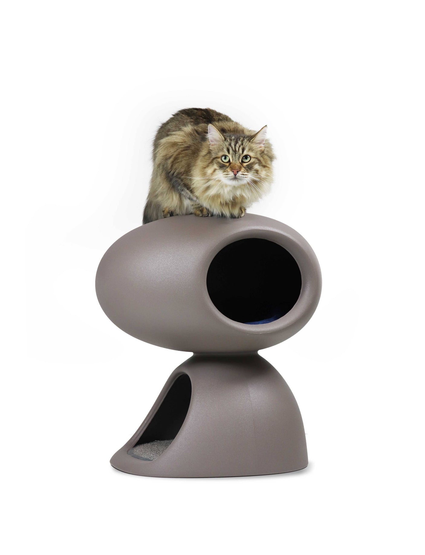 United Pets - Design kattenbed met krabpaal en knuffel