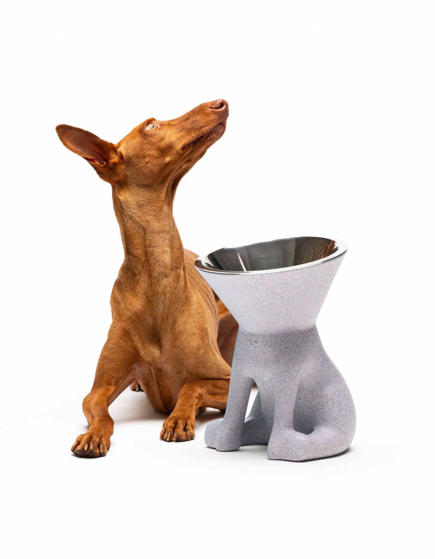 United Pets - Elizabeth Design Verhoogde Hondenvoerbak (1100 ml) - Voor de hondenliefhebber!