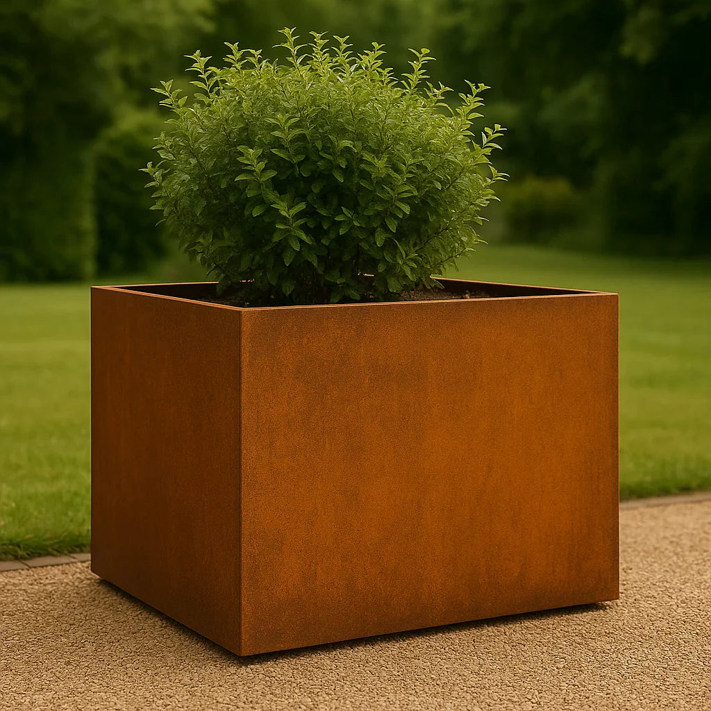 Vierkante cortenstaal plantenbak met groene beplanting.