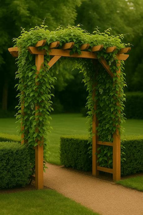 Houten pergola begroeid met witte bloemen en groen blad, boven een tuinpad.