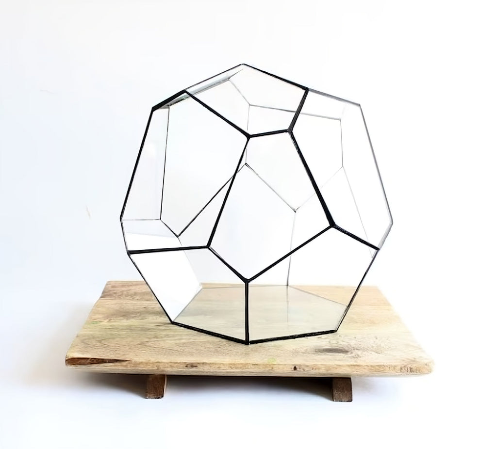 Geometric Terrarium - Cosmo - Vivarium - ↑ 31 X 29 X 29 Cm (Lxwxh) - Glass