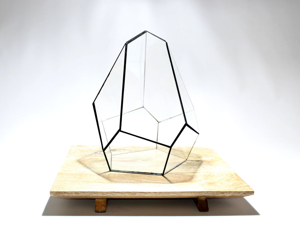 Geometric Terrarium - Jungle Gem - Vivarium - ↑ 16 X 15 X 19,5 Cm (Lxwxh) - Glass