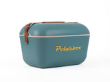 Polarbox koelbox 20 L strandpicknick retro met leren band