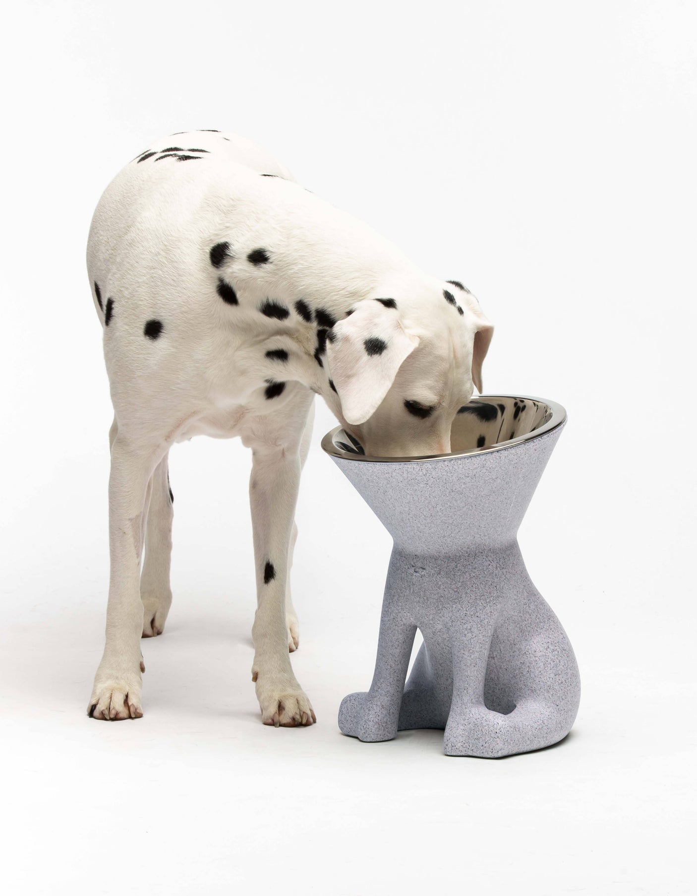 United Pets - Elizabeth Design Verhoogde Hondenvoerbak (1100 ml) - Voor de hondenliefhebber!