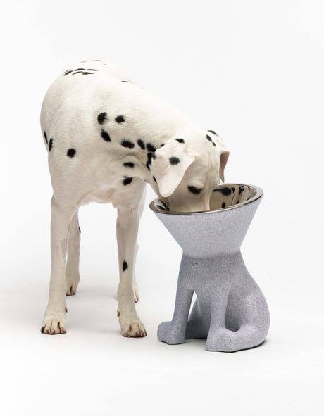 United Pets - Elizabeth Design Verhoogde Hondenvoerbak (1100 ml) - Voor de hondenliefhebber!