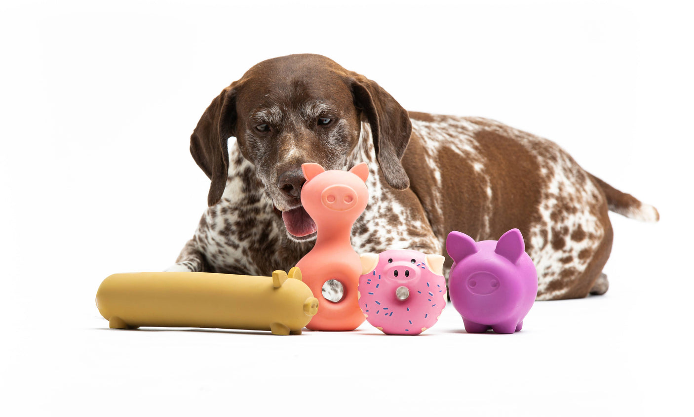 United Pets - Latex Pigs spel voor honden en katten