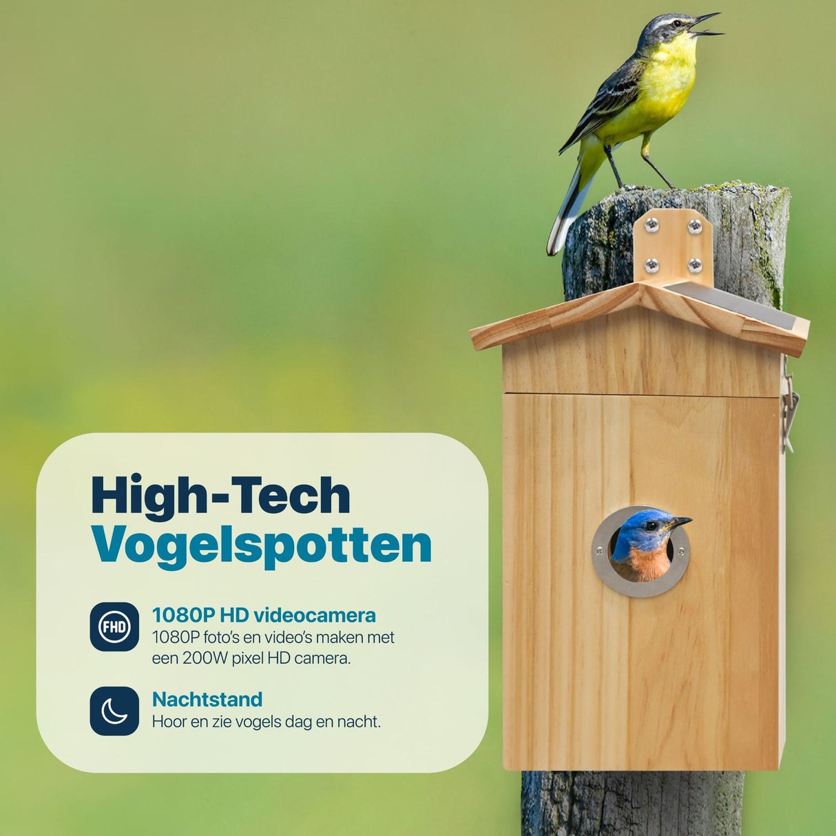 Vogelhuisje met Camera en Audio - Hout - Nestkastje - Ingebouwde Zonnepanelen