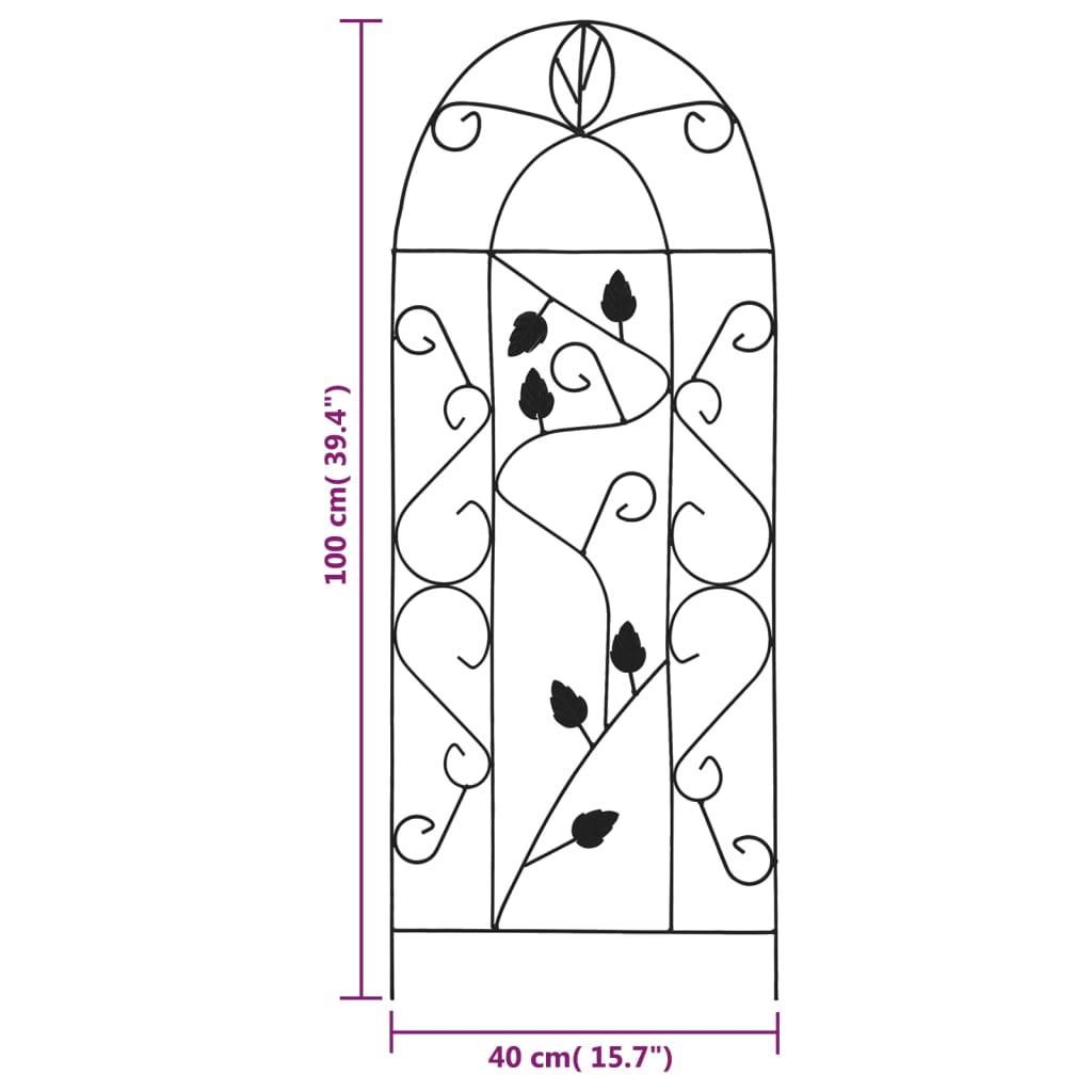 Plantenklimrekken 40X100 Cm Ijzer Zwart Blad