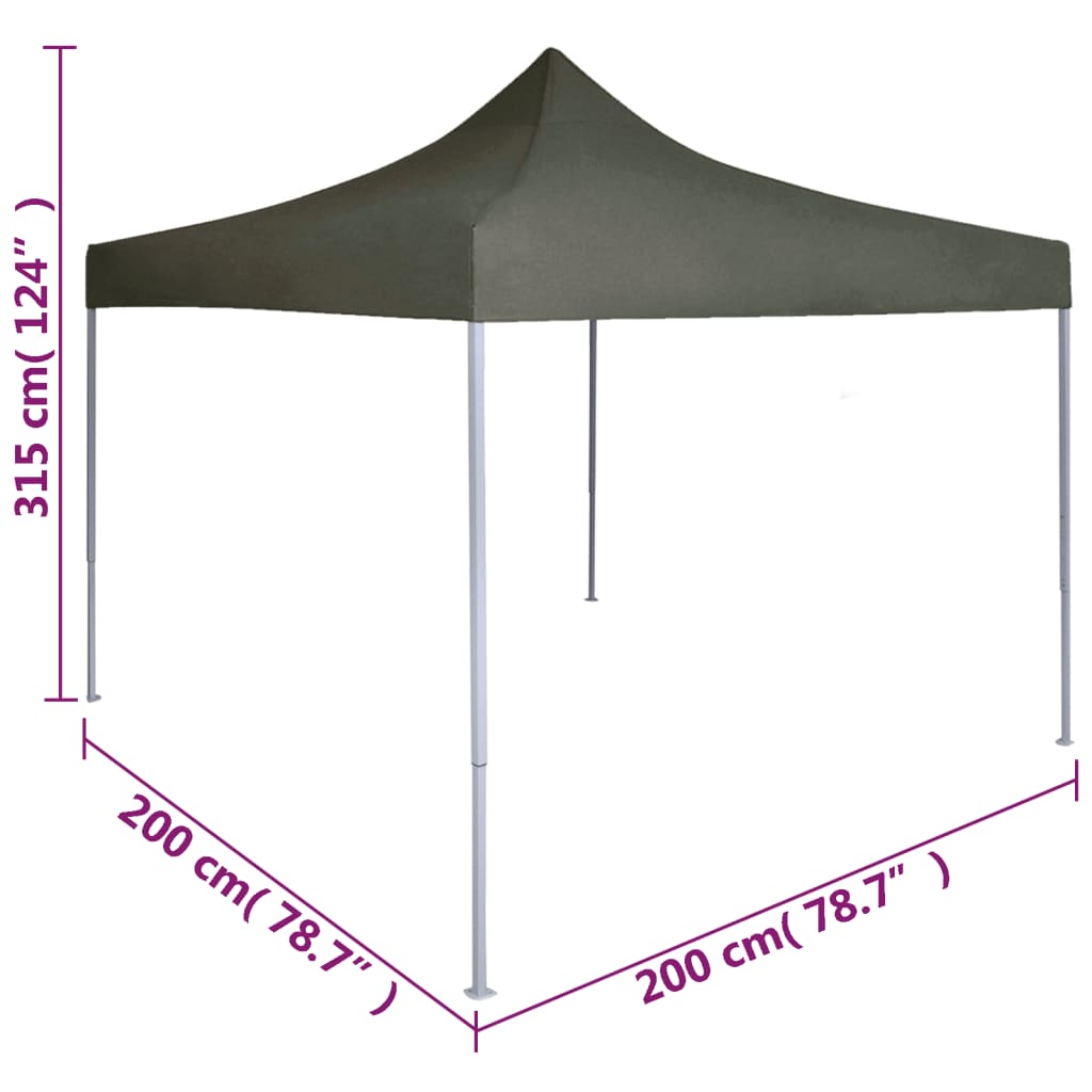 Partytent Professioneel Inklapbaar 2X2 M Staal Antraciet