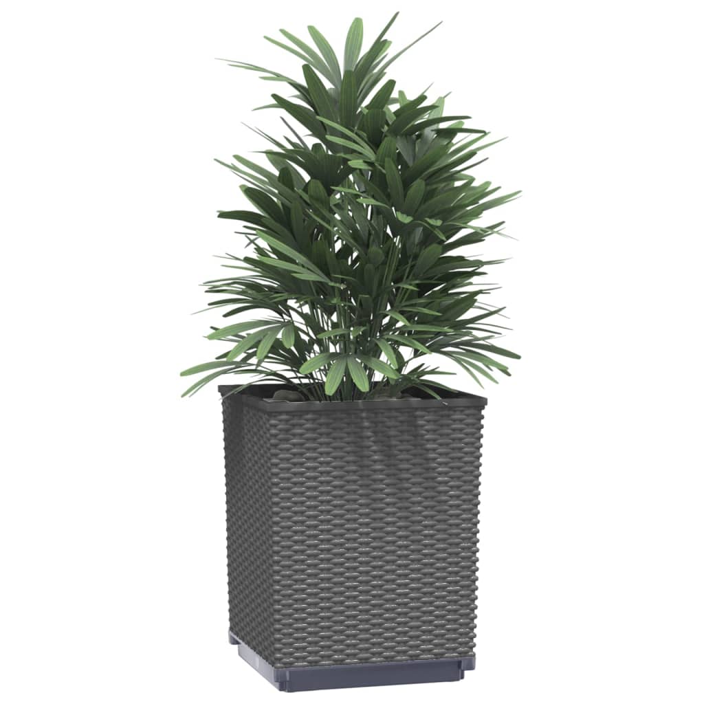 Plantenbakken 4 st 30x30x37 cm polypropeen zwart