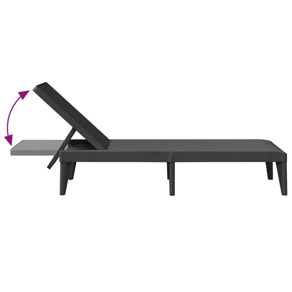 Ligbed 86X60X29 Cm Polypropeen Kleurig Antraciet