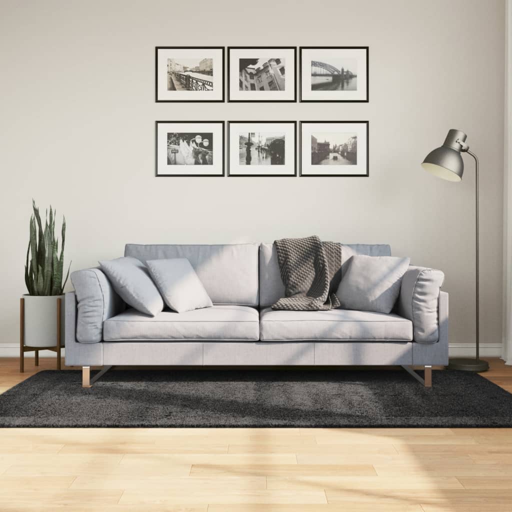 Vloerkleed Shaggy Hoogpolig Modern Antraciet 100 x 200 cm