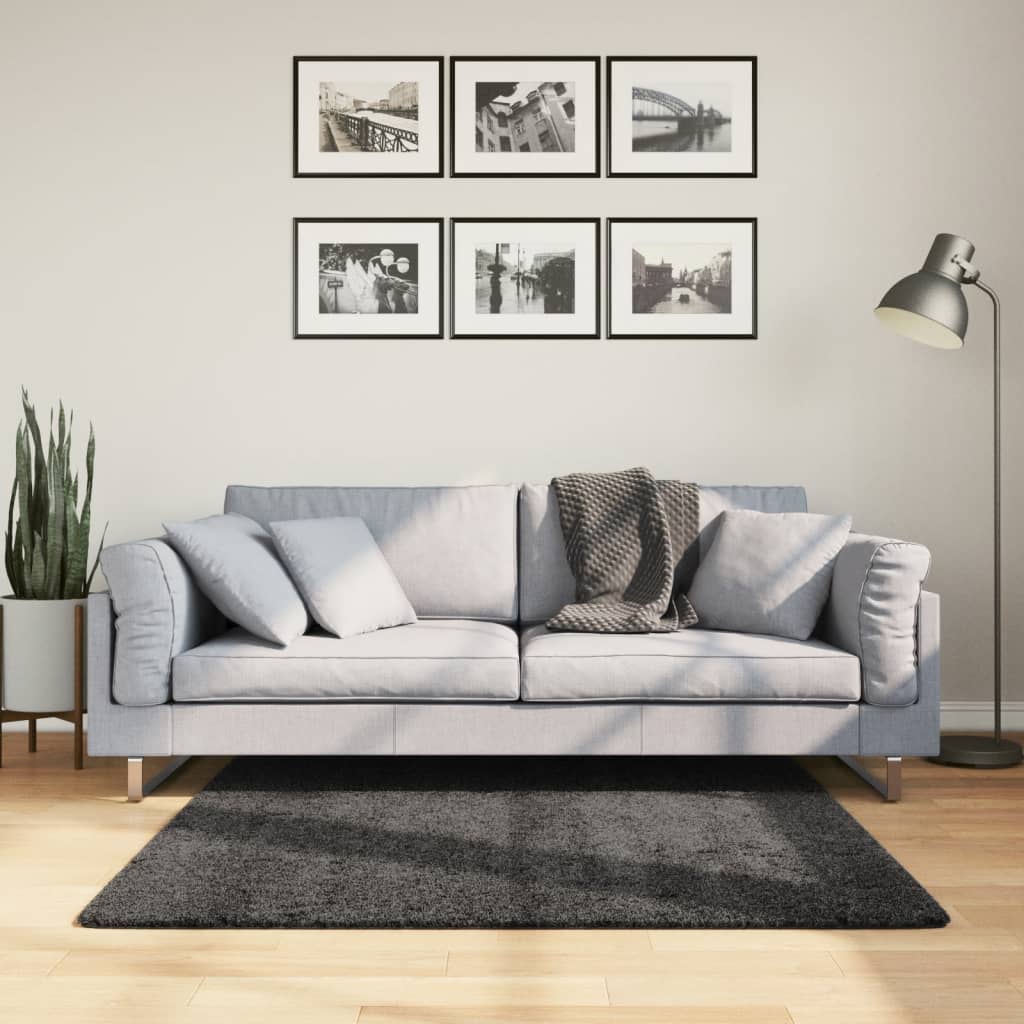 Vloerkleed Shaggy Hoogpolig Modern Antraciet 120 x 120 cm