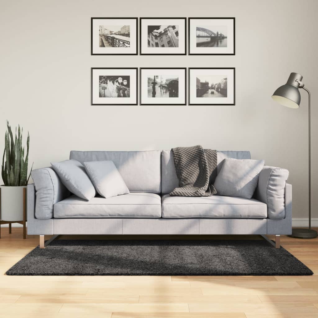 Vloerkleed Shaggy Hoogpolig Modern Antraciet 120 x 170 cm