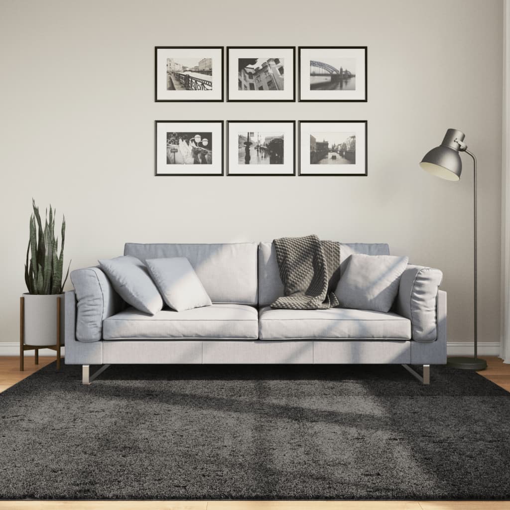 Vloerkleed Shaggy Hoogpolig Modern Antraciet 200 x 200 cm