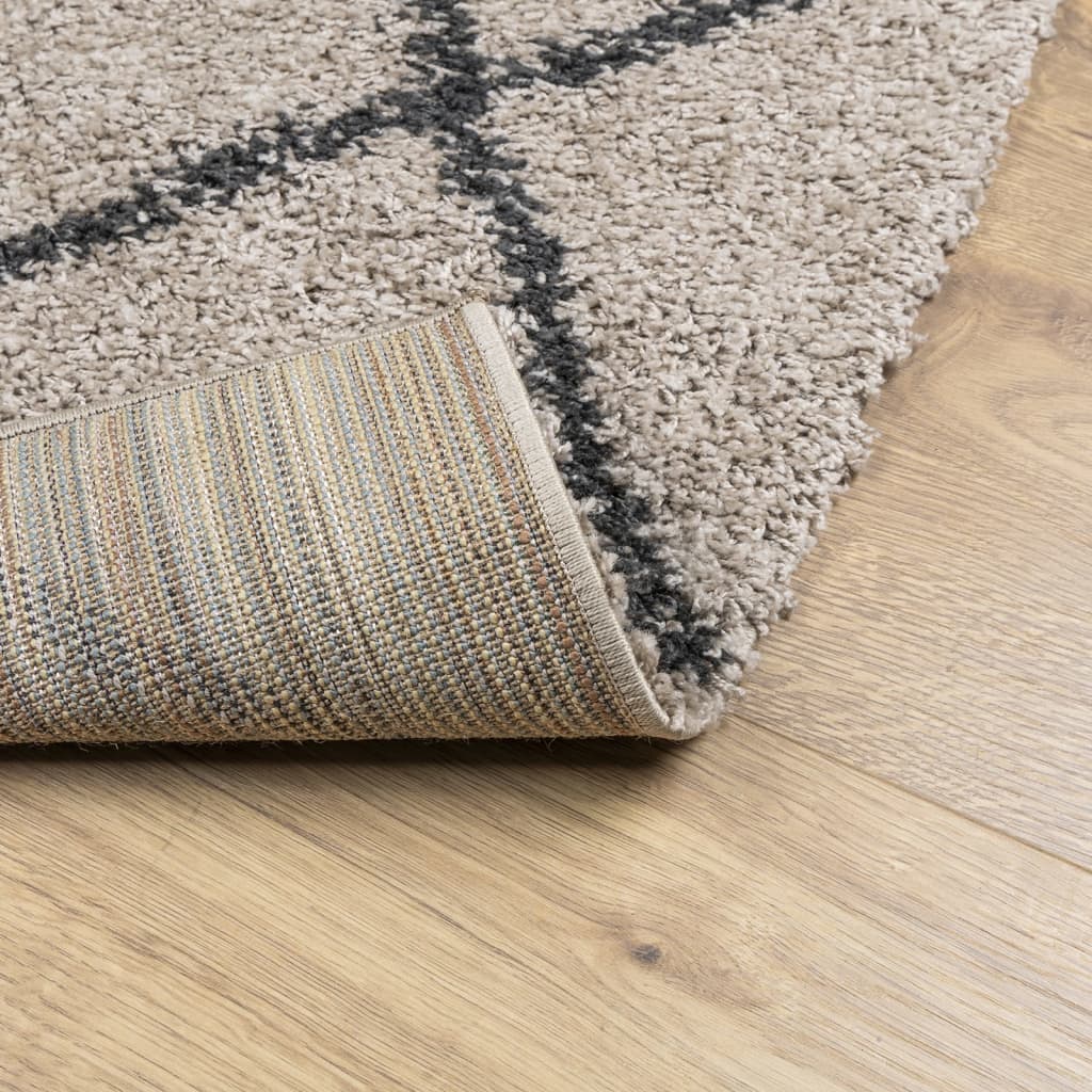 Vloerkleed Shaggy Hoogpolig Modern Beige En Antraciet 60 x 110 cm