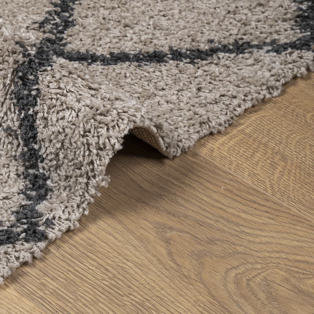 Vloerkleed Shaggy Hoogpolig Modern Beige En Antraciet 60 x 110 cm