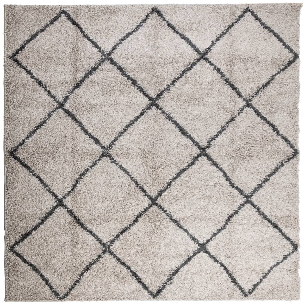 Vloerkleed Shaggy Hoogpolig Modern 200X200Cm Beige En Antraciet 200 x 200 cm