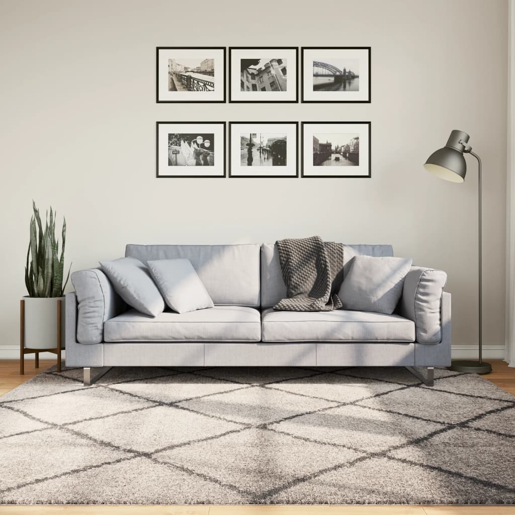 Vloerkleed Shaggy Hoogpolig Modern 200X200Cm Beige En Antraciet 200 x 200 cm