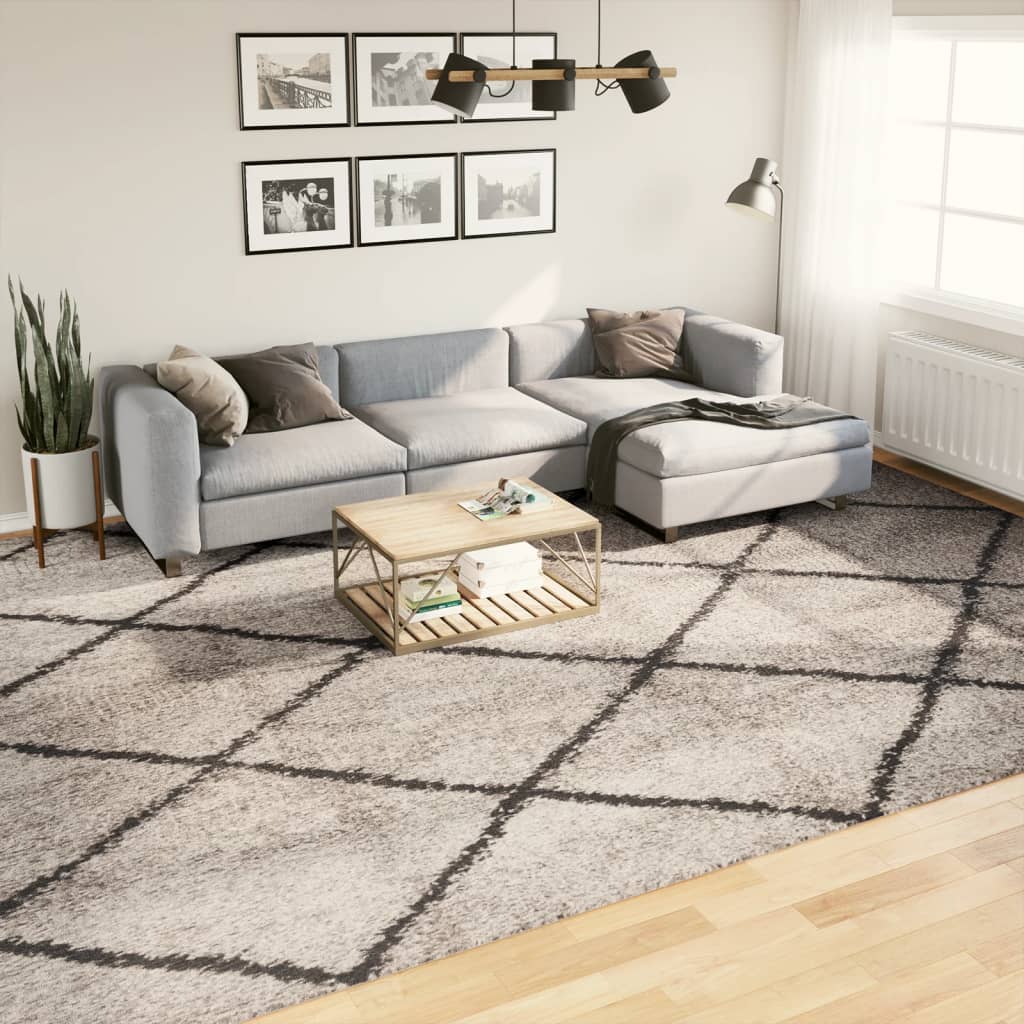 Vloerkleed Pamplona Shaggy Hoogpolig Beige En Antraciet 300 x 400 cm