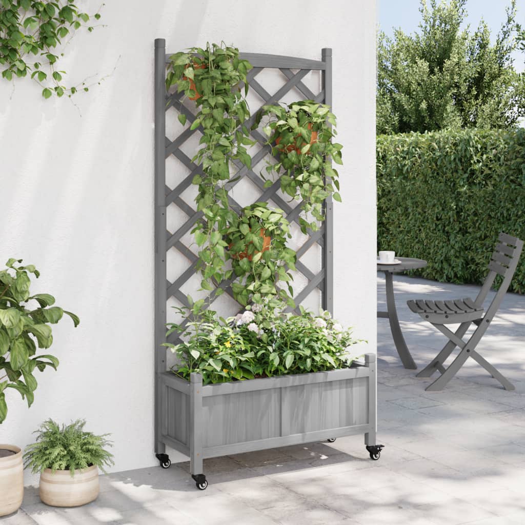 Plantenbak Met Latwerk En Wielen Massief Vurenhout Grijs 75 x 35 x 157.5 cm with trellis & wheels