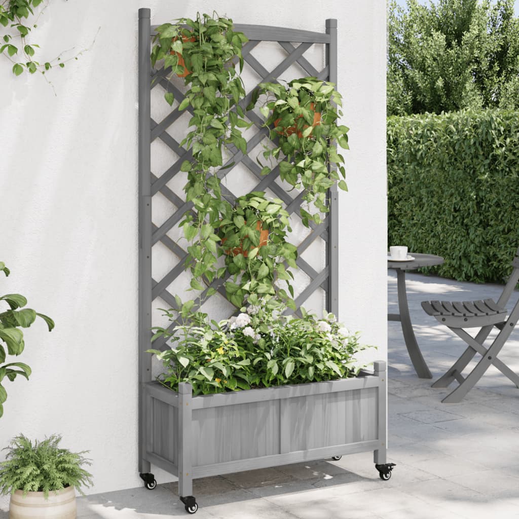 Plantenbak Met Latwerk En Wielen Massief Vurenhout Grijs 75 x 35 x 157.5 cm with trellis & wheels