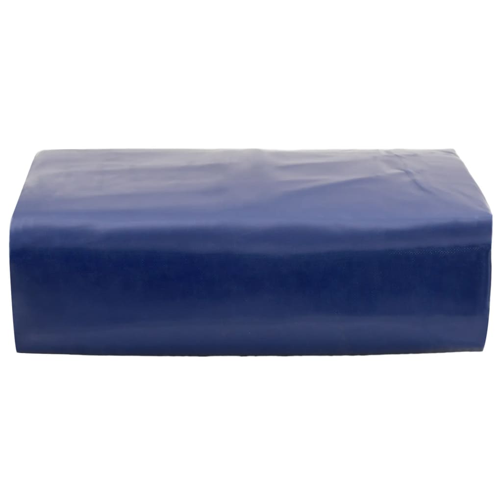 Dekzeil 650 g/m² 3x6 m blauw