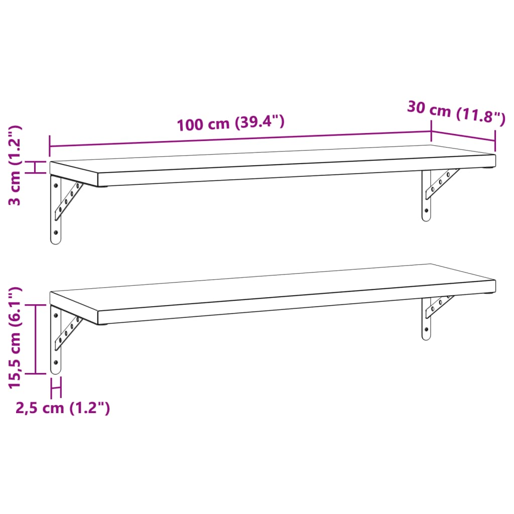 Wandschappen 2 st 100x30 cm roestvrijstaal zilverkleurig