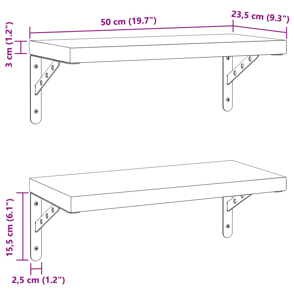 Wandschappen 2 st 50x23,5 cm roestvrijstaal zilverkleurig