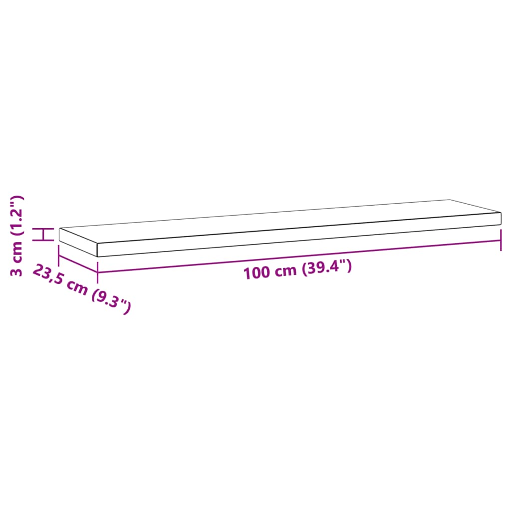 Wandschappen 2 st 100x23,5x3 cm roestvrijstaal zwart