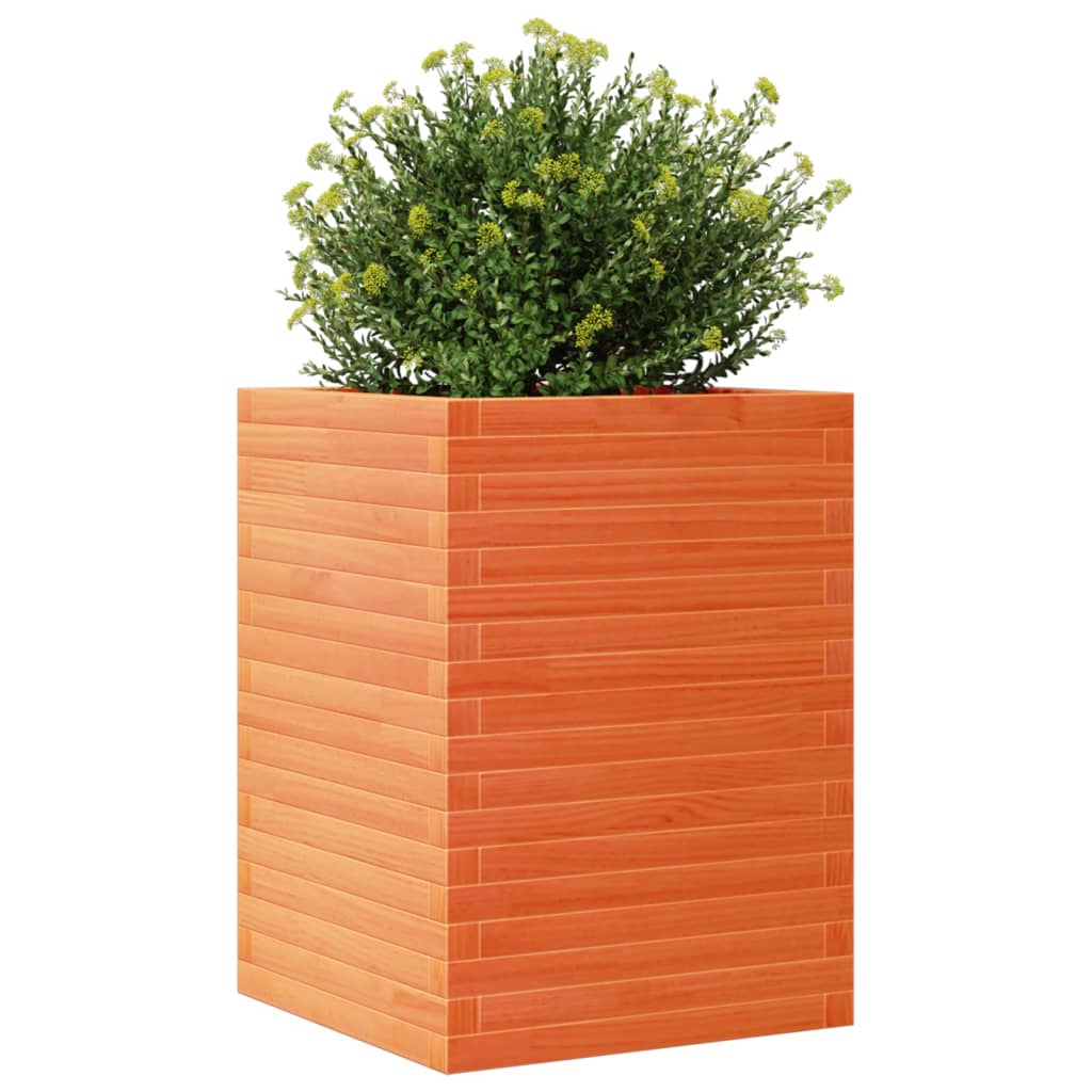 Plantenbak 50x50x68,5 cm massief grenenhout wasbruin