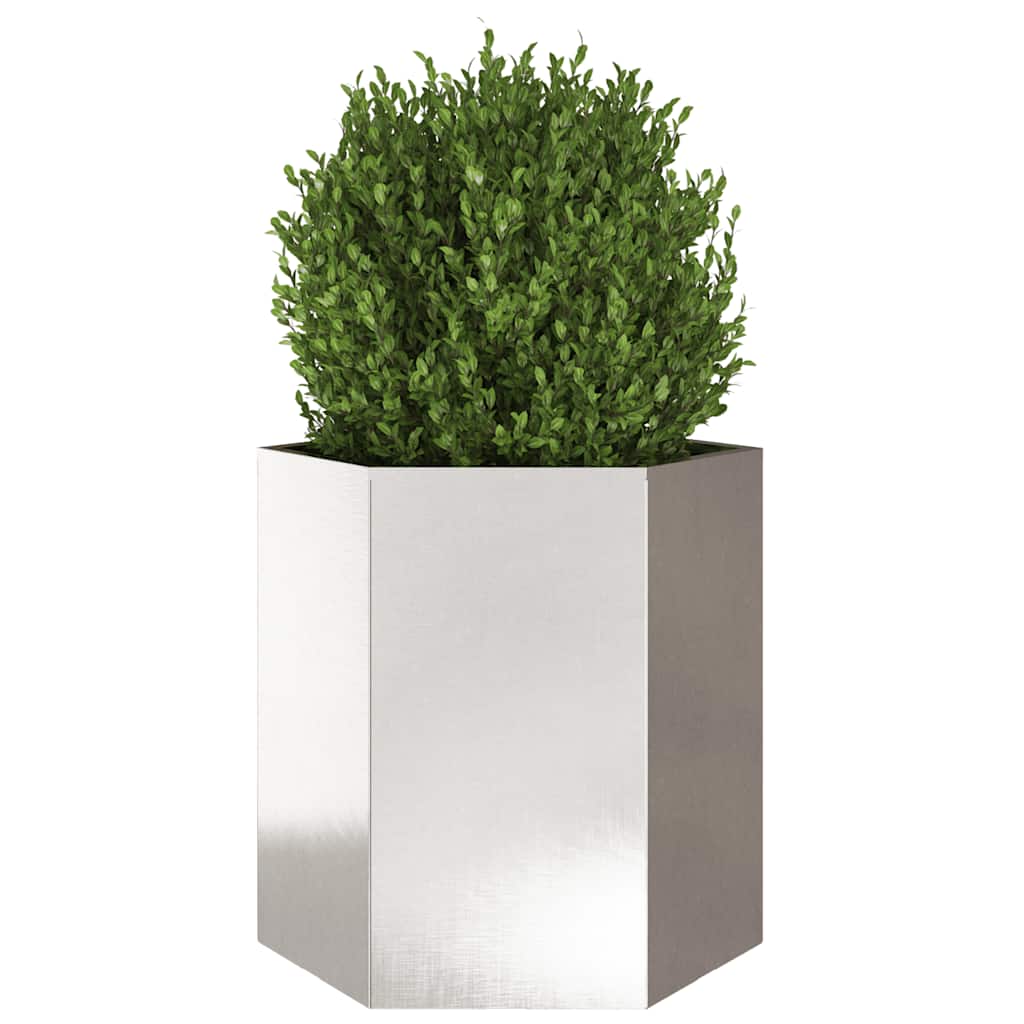 Plantenbakken 2 st zeshoek 46x40x45 cm roestvrijstaal