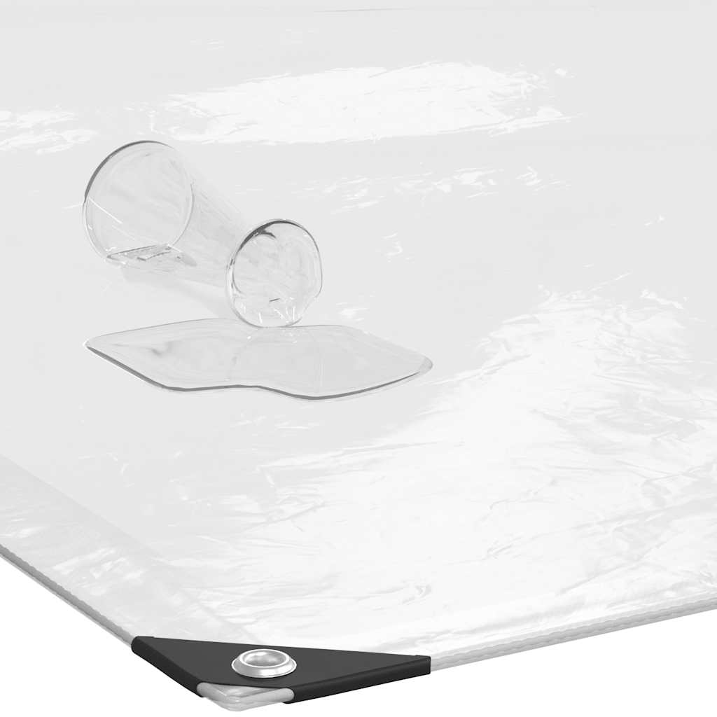 Doorzichtig zeildoek met zeilringen 6x12 m polyethyleen