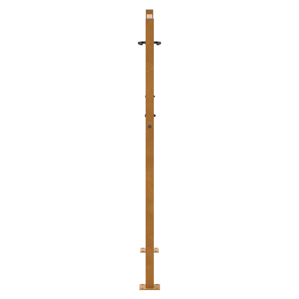 Poort met lichtontwerp 105x130 cm weervast staal