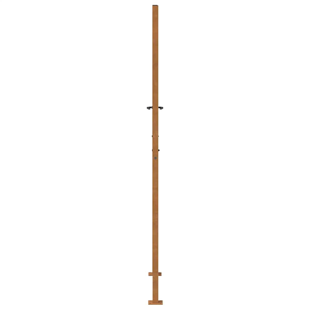 Poort met lichtontwerp 105x205 cm weervast staal