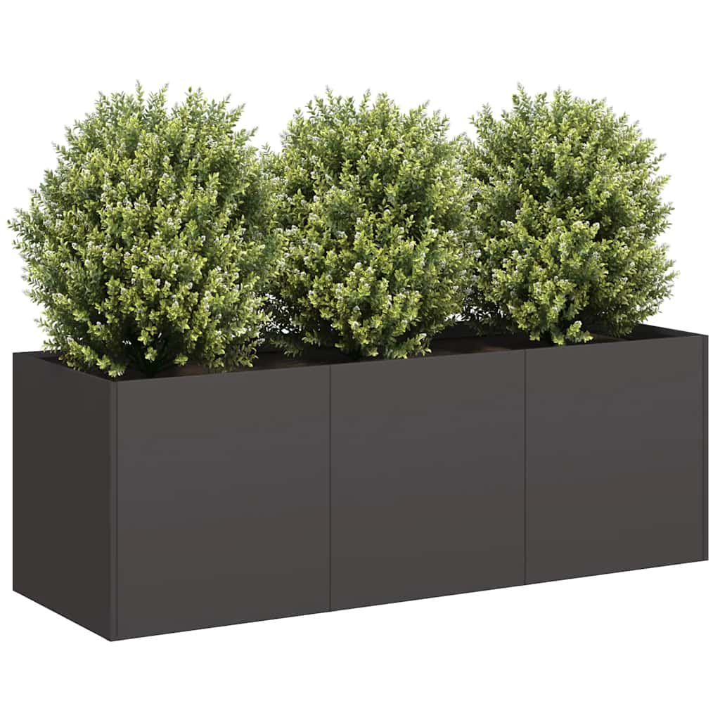 Plantenbak 120x40x40 cm koudgewalst staal zwart