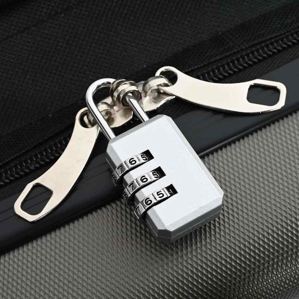 Koffer met slot Donkergrijs 50 x 30 x 76 cm ABS Kunststof