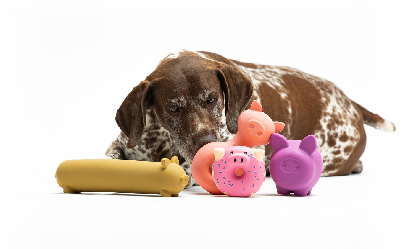 United Pets - Latex Pigs spel voor honden en katten