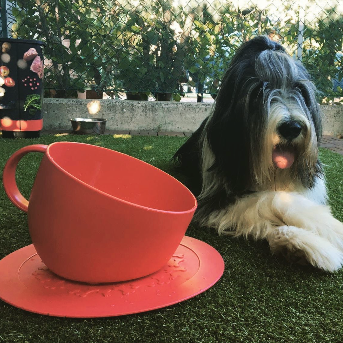 United Pets - Milieuvriendelijke Hoog Kopje Anti-Spat - Voor Eten en Water - Design uit Italie - 2500 ml!
