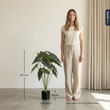 Alocasia 80 Cm - Artificial Plant