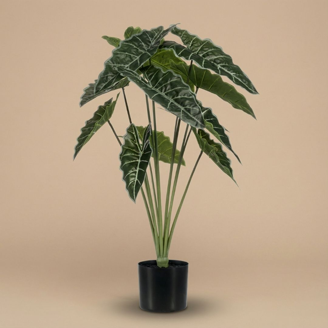 Alocasia 80 Cm - Artificial Plant