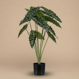 Alocasia 80 Cm - Artificial Plant