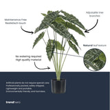 Alocasia 80 Cm - Artificial Plant