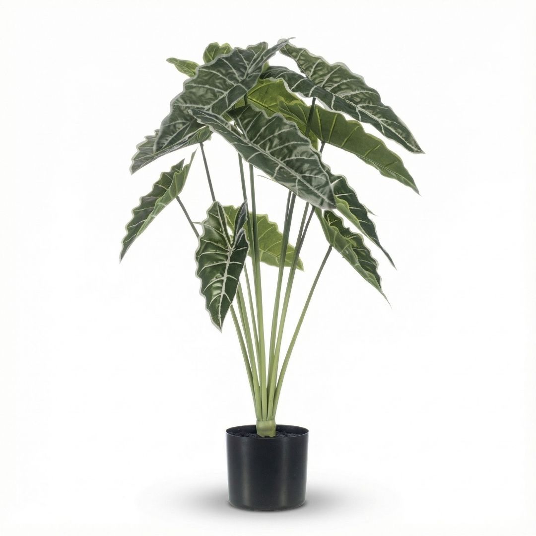 Alocasia 80 Cm - Artificial Plant