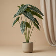Alocasia 80 Cm - Artificial Plant